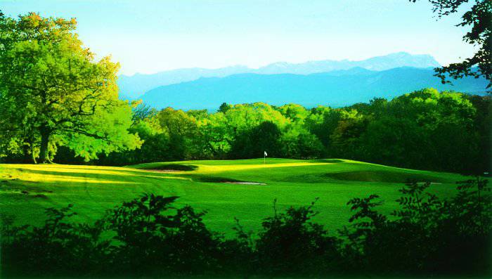 Fairway and Green inmidst wooded land and view of the Alps