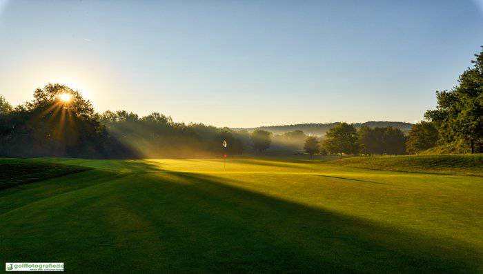 Golfanlage mit Begrünung vor tiefstehender Sonne